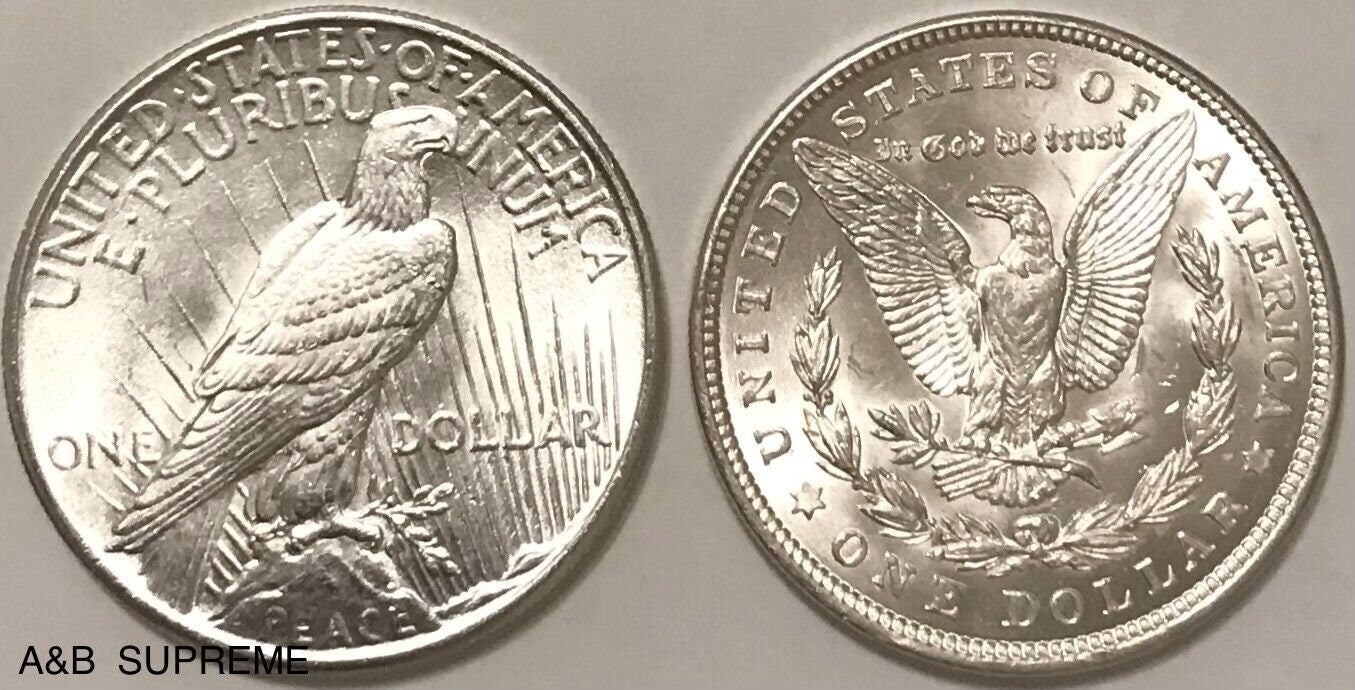 Morgan & Peace Dollars Gem Bu Uncirculated (2) Coins 90% Silver